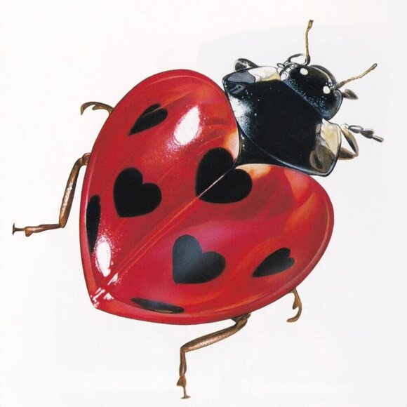 … - Picture 1 of 1